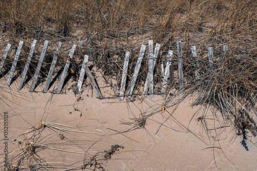 weather beaten dune fence of salisbury state park