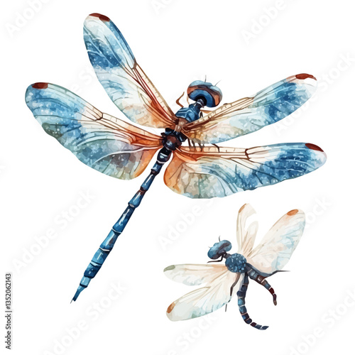 A watercolor vector painting of a mother dragonfly with her kid, isolated on a white background.

