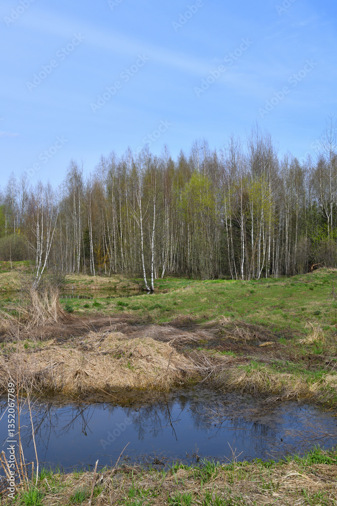 Obraz premium Landscape in early spring with melt water. Russia