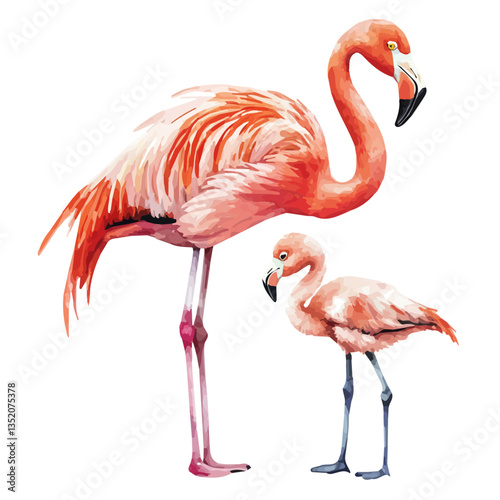 A watercolor vector painting of a mother flamingo with her kid, isolated on a white background.

