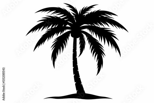 the palm tree of Sihouette black vector