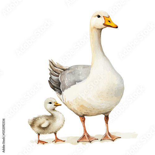 A watercolor vector painting of a mother goose with her kid, isolated on a white background.

