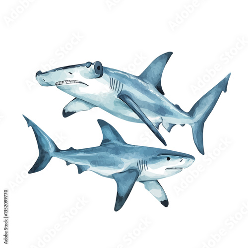 A watercolor vector painting of a mother hammerhead shark with her kid, isolated on a white background.


