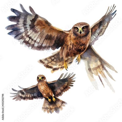 A watercolor vector painting of a mother harrier with her kid, isolated on a white background.

