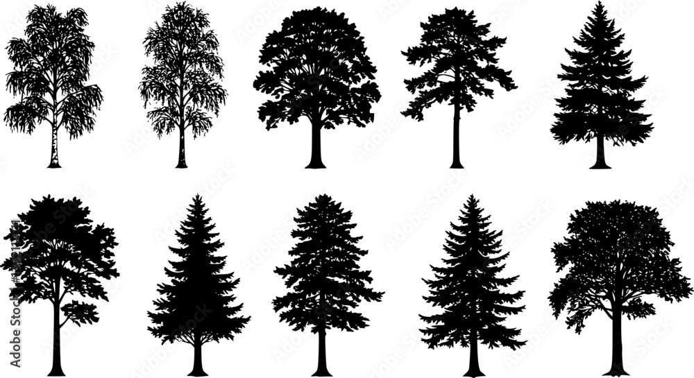 silhouette tree line drawing set, Side view, set of graphics trees elements outline symbol for architecture and landscape design drawing. Vector illustration in stroke fill in white. Tropical 