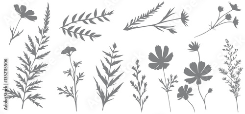 Botanical set. Floral silhouettes. Plant collection silhouettes wildflowers and plants vector.