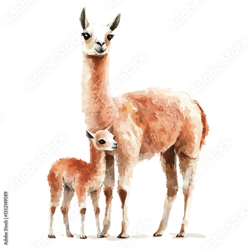 A watercolor vector painting of a mother llama with her kid, isolated on a white background. Mother llama vector.


