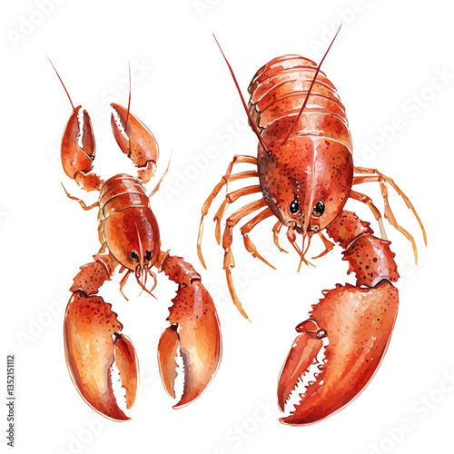 A watercolor vector painting of a mother lobster with her kid, isolated on a white background. Mother lobster vector.

