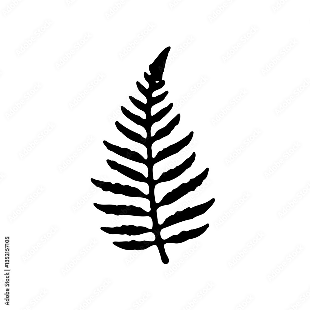 Monochrome Simple Fern Illustration in Black Ink Monochrome Simple Fern Illustration in Black Ink
