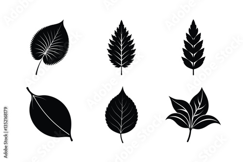 worlds famous many kinds of leaves silhouette vector illustration