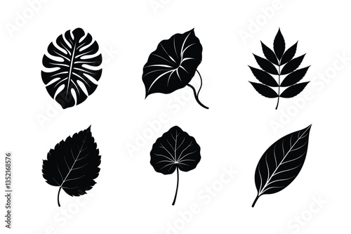 worlds famous many kinds of leaves silhouette vector illustration