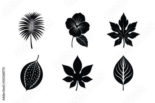 worlds famous many kinds of leaves silhouette vector illustration