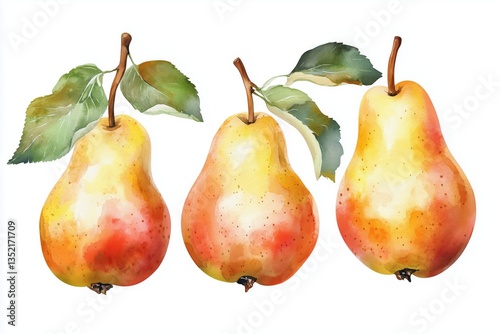 Sweet pears set watercolor illustration, fruits on isolated background, botanical painting. Ripe yellow pear with leaf