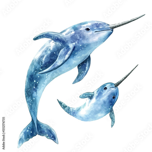 A watercolor vector painting of a mother narwhal with her kid, isolated on a white background. Mother narwhal vector.

