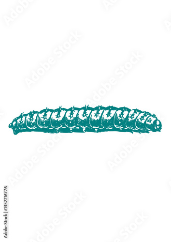 Line illustration of a catterpilar