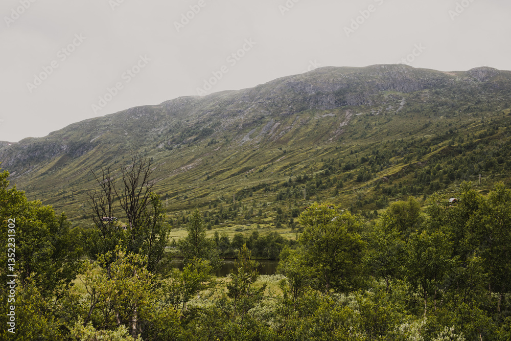 Obraz premium Norwegian mountain landscape with green trees and snow on the mountaintop on a foggy autumn day.