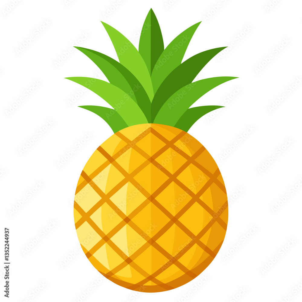 vector illustration of pineapple vector illustration of pineapple