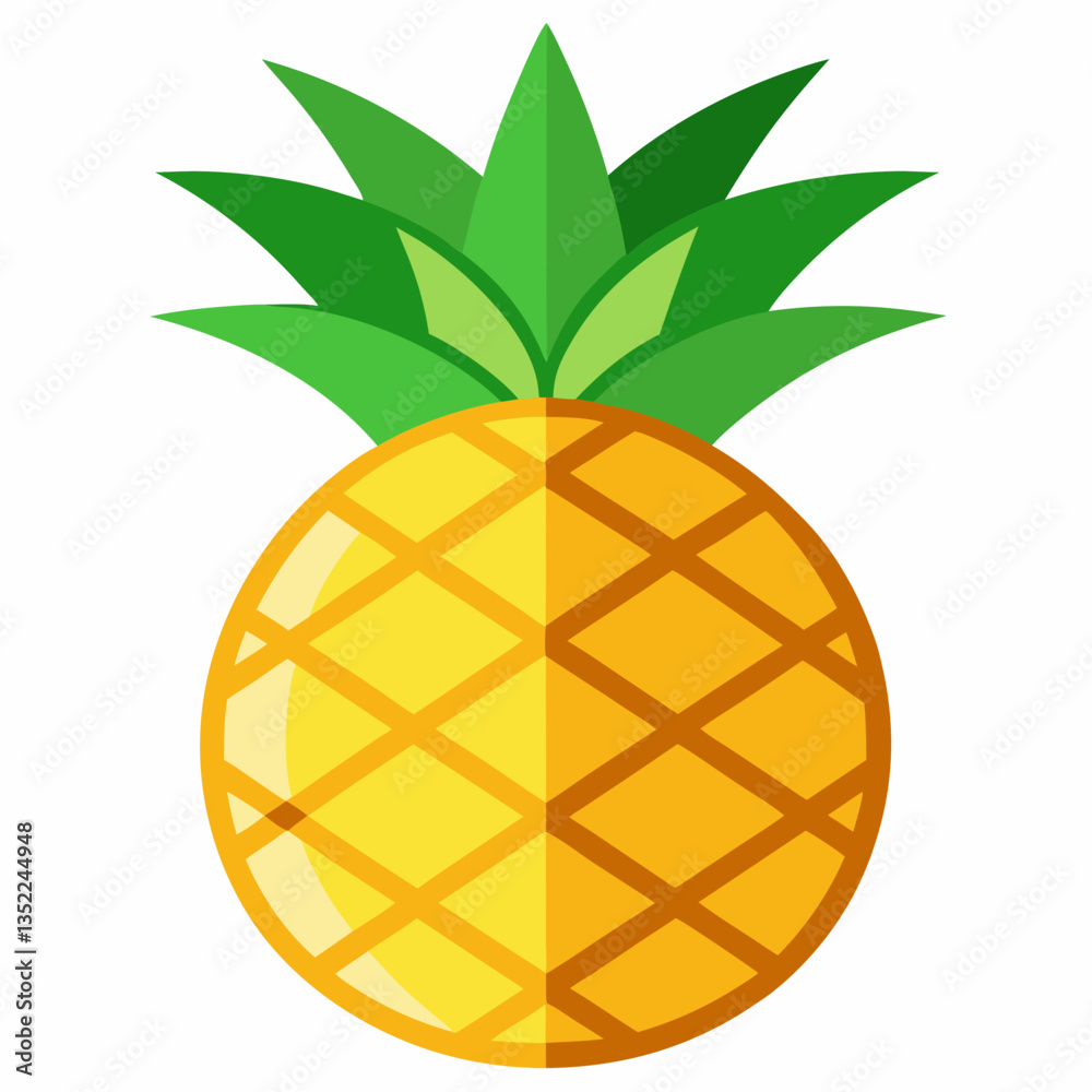 vector illustration of pineapple vector illustration of pineapple