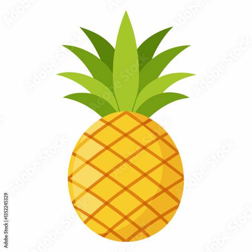 vector illustration of pineapple