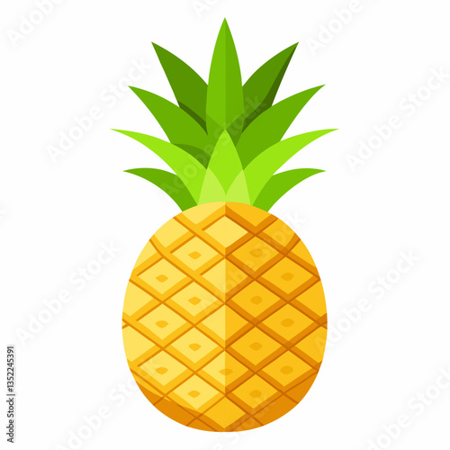 vector illustration of pineapple