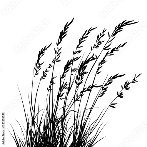 Silhouette of a grass blade vector. Isolated drawing of herbs on a white background, serving as a contour element for floral design. Generative Ai