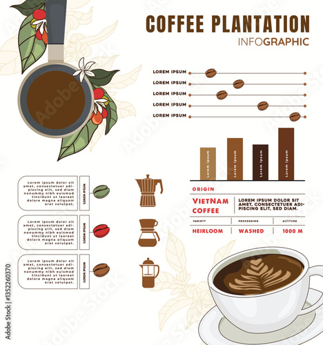 Coffee Infographic Design 