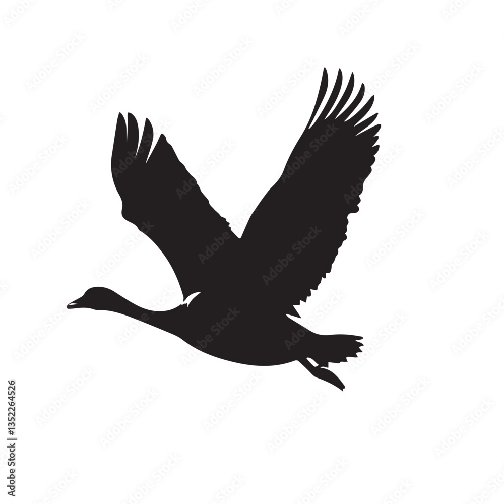 Obraz premium black image of a domestic goose bird in flight, black and white graphics, vector 