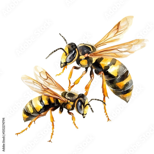 A watercolor vector painting of a mother wasp with her kid, isolated on a white background. Mother wasp vector.

