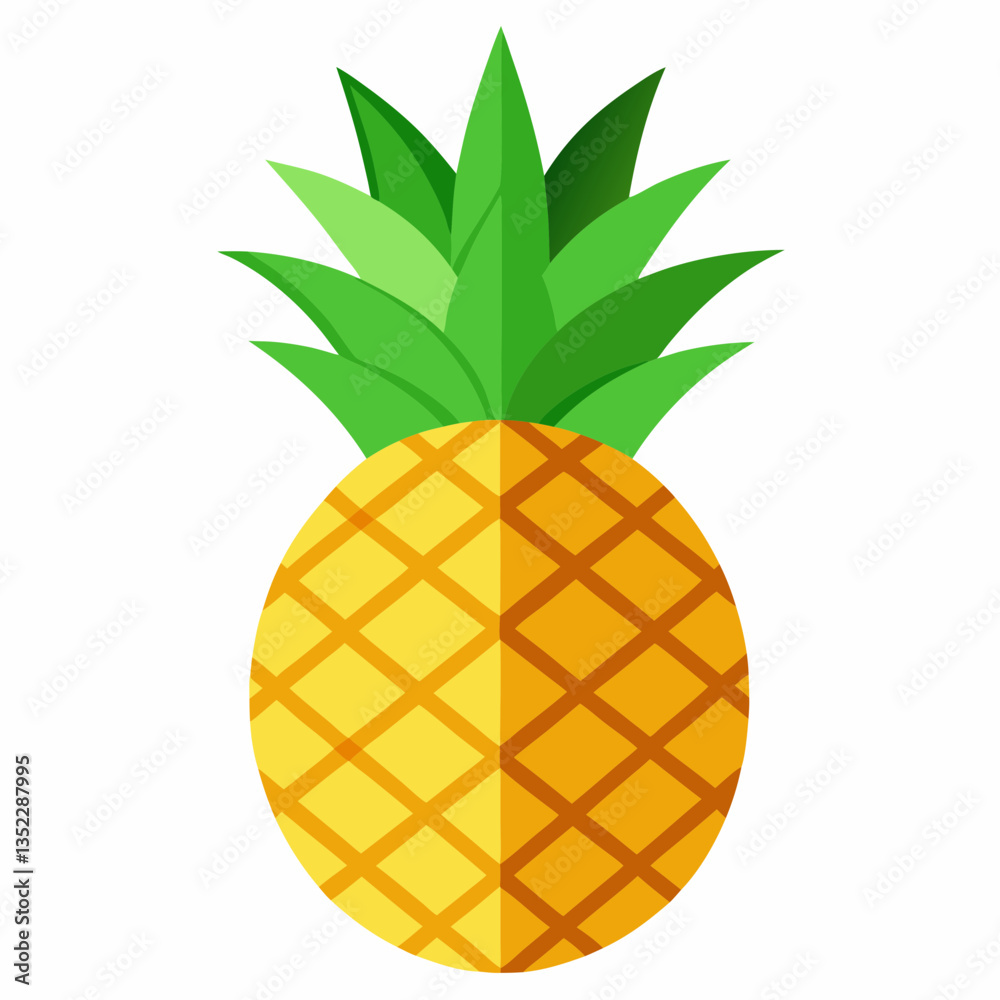illustration of pineapple illustration of pineapple