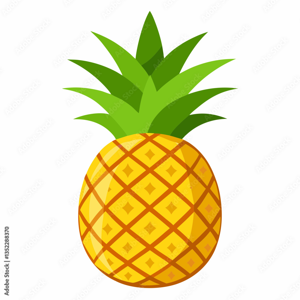 illustration of pineapple illustration of pineapple