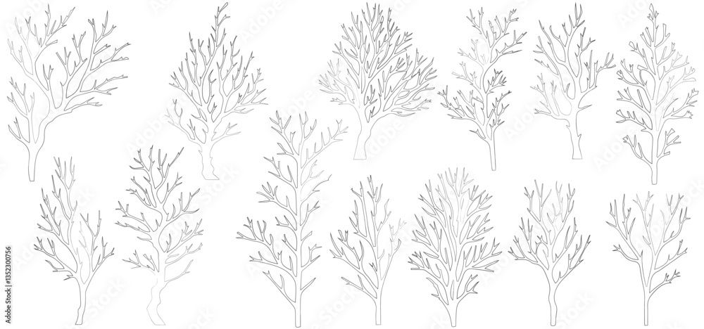 Fototapeta premium branches of trees, silhouettes of bare branches. Vector illustration