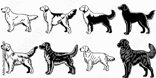 Set of Retriever and Setter Dog Illustrations - Black and White Vintage Style