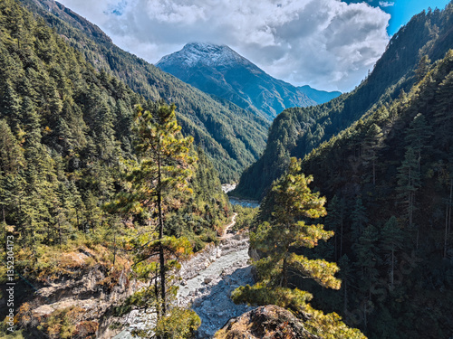River running through deep forest valley with snowy mountain peak in background.