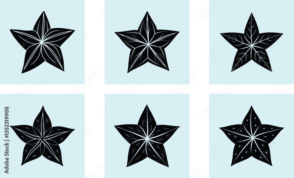 Obraz premium Starfruit silhouette vector