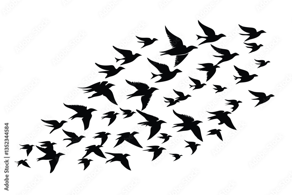 Swarm of Swift Birds Flying Silhouettes Wildlife, Flock, Migration, Wildlife Art Swarm of Swift Birds Flying Silhouettes Wildlife, Flock, Migration, Wildlife Art