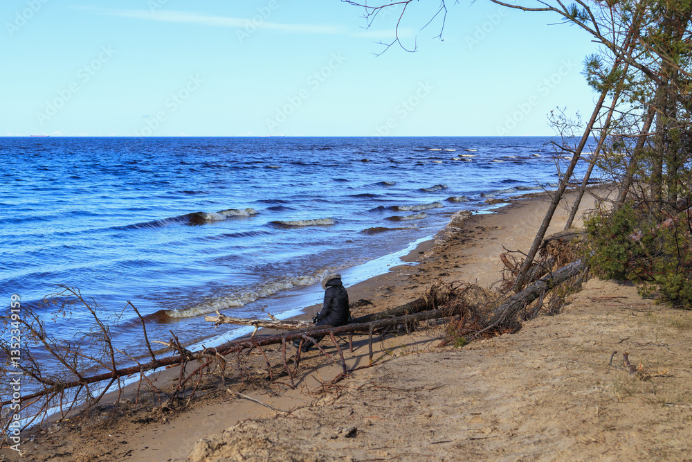 sea with sandy shore and trees.
sea with sandy shore and trees.