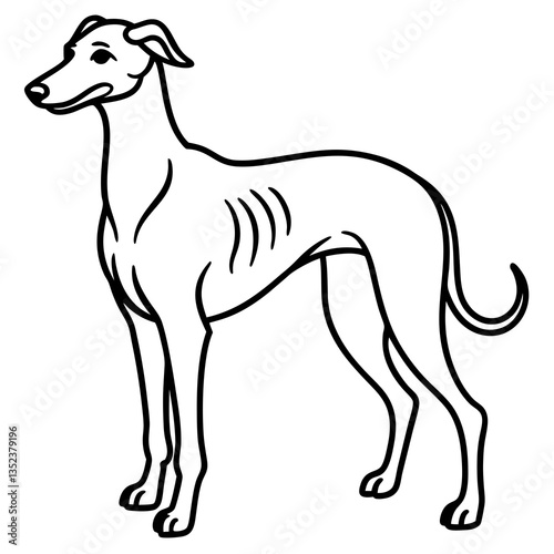 Elegant Greyhound in Silhouette: This monochrome depiction of a greyhound captures the breed's sleek elegance, highlighting its slender form and graceful stance in a minimalist artistic style.