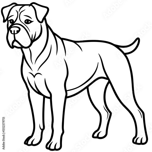 Strong Cane Corso Line Art: A distinguished Cane Corso dog with a strong, muscular build and a serious expression, captured in a clean, clear line art illustration.