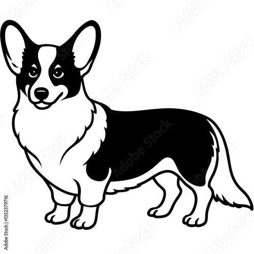 Cardigan Corgi Illustration: A charming illustration of a Cardigan Welsh Corgi, showcasing its distinctive features in a black and white design.