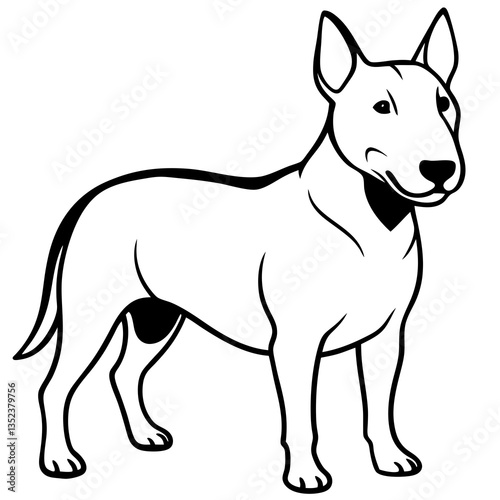  Bull Terrier: A striking black and white drawing of a Bull Terrier, a breed known for its muscular build, distinctive egg-shaped head, and courageous spirit.