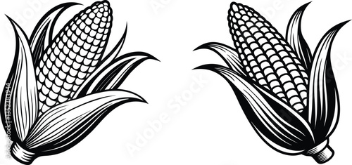 Set of Sweet corn icon in black style isolated on white background, silhouette vector illustration