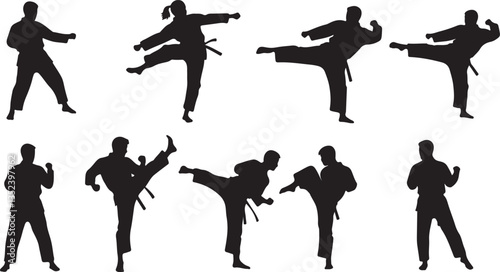 Karate Silhouette, Ideal for Martial Arts and Sports Themes - Flat Vector Illustration