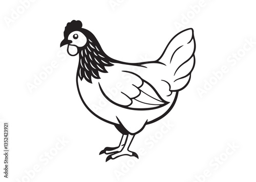 Hen vector illustration Design