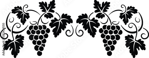Elegant Grapevine Border, Vintage Grape Vines Decorative Design