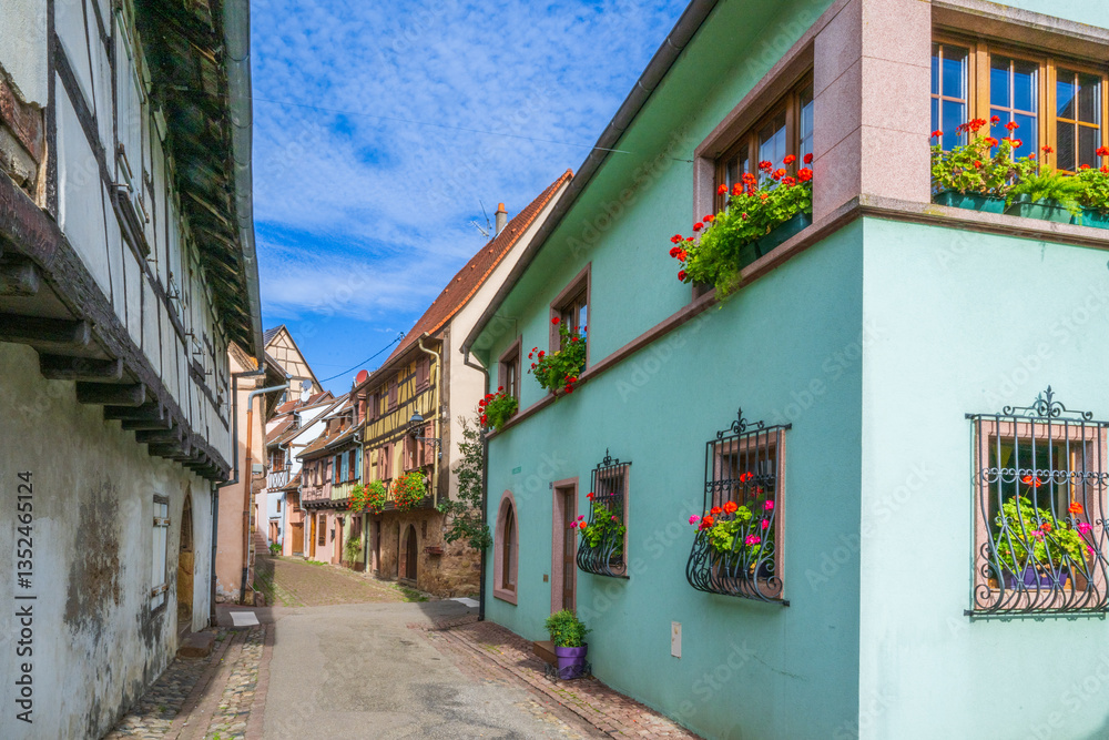 Obraz premium Eguisheim is a medieval village in France’s Alsace wine region, France