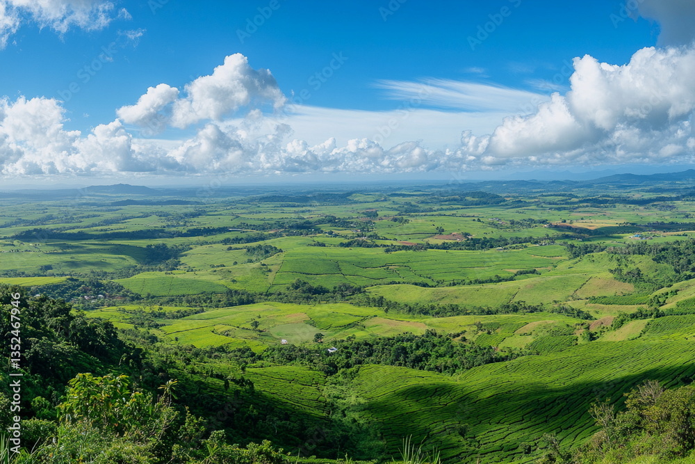 Obraz premium Sunrise over tea-covered mountains in Sri Lanka. Magical golden light highlights the landscape — ideal for travel posters, yoga retreats, or exotic destination promos.