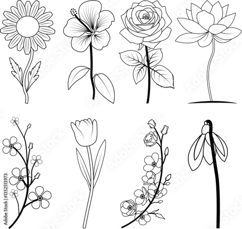 Floral Line Art Vector Set on White Background. Multi Flower Hand Drawn Sketches with Black Stroke for Print on Demand Business. Cute Flower ClipArt Graphics  for  Print Related Industry.