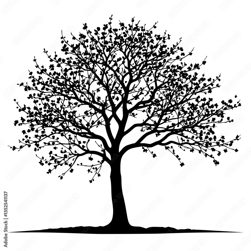 Fototapeta premium tree silhouette vector