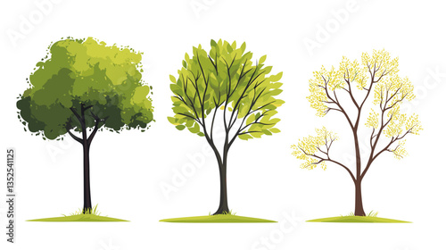 Set of three modern illustrations depicting various tree styles in different stages of growth and seasonal changes