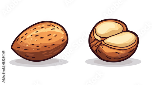 Detailed illustration of nuts showcasing whole and cracked shell, highlighting textures and colors